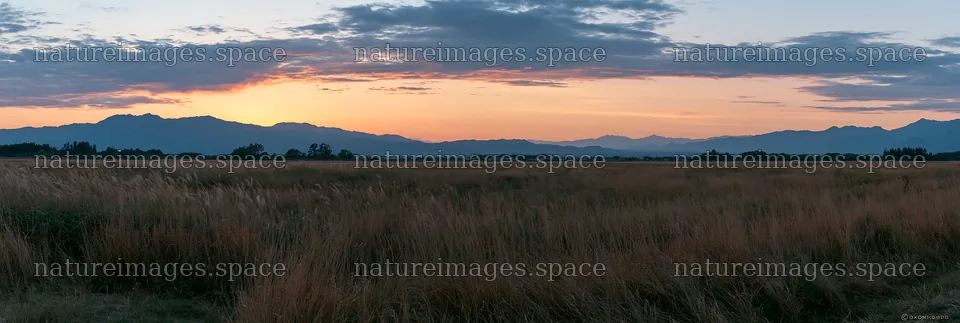 Aichi restored meadow autumn seedheads foreground – nature images 13690x4602