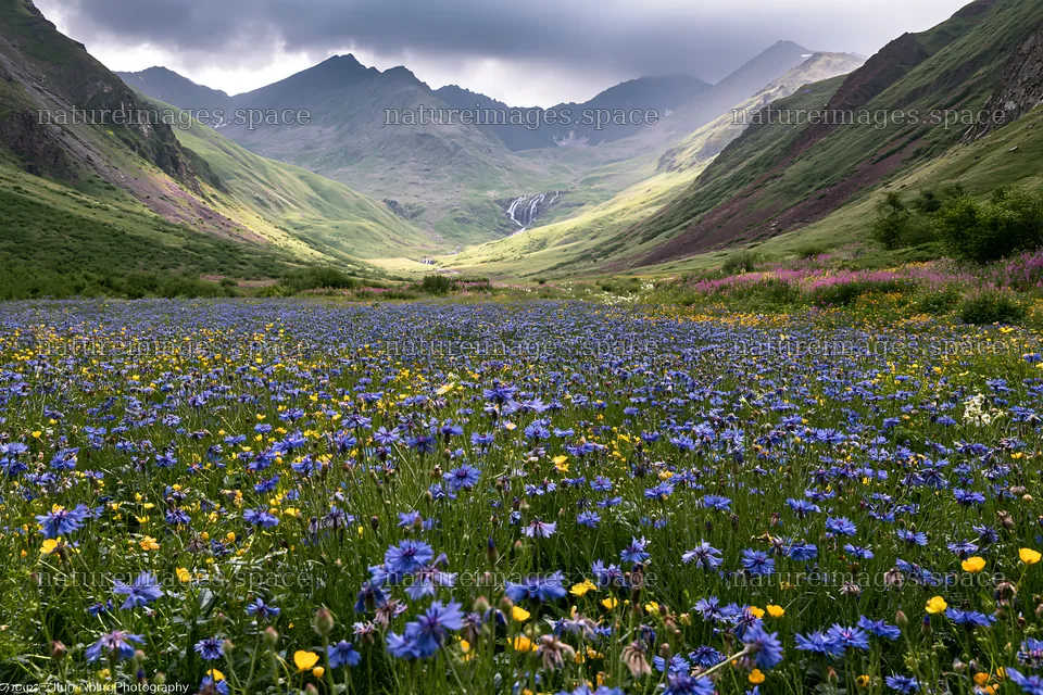 Meadow beneath waterfall with mountains in the background – nature images 9722x6480
