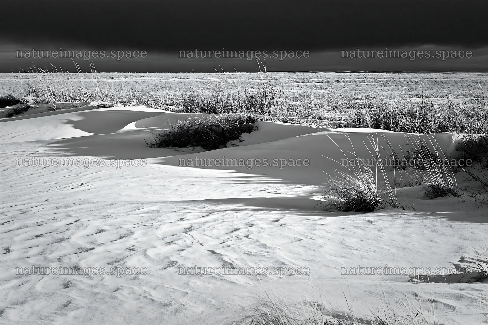 Snowdrift meadow with grass under cloudy sky – nature images 9722x6480