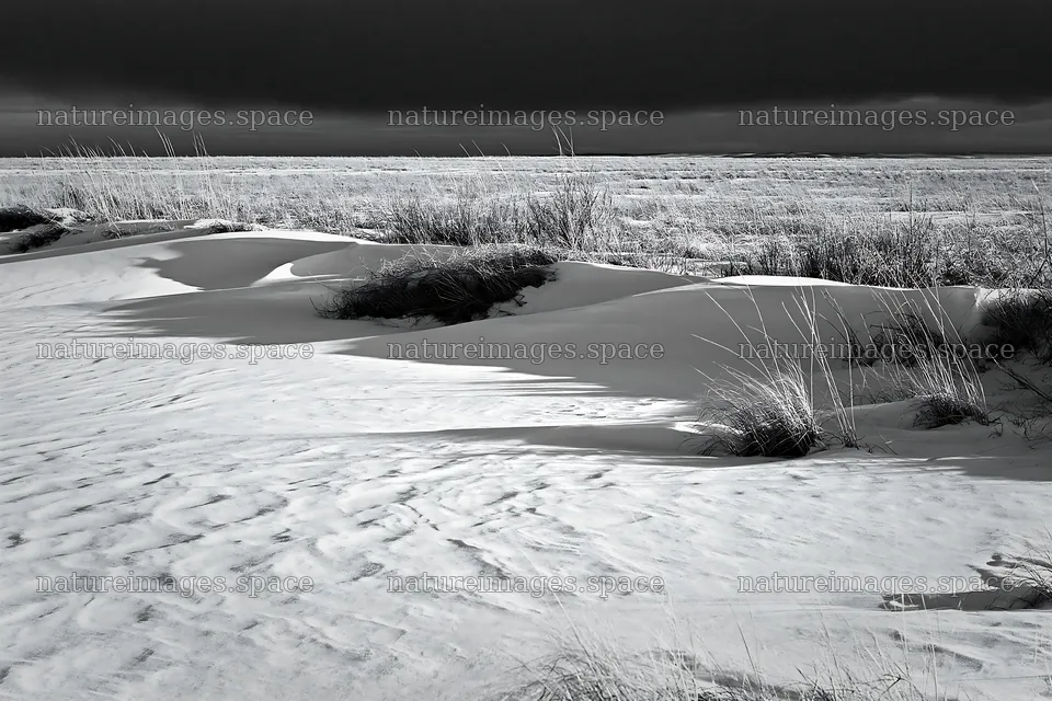 Snowdrift meadow with grass under cloudy sky – nature images 9722x6480