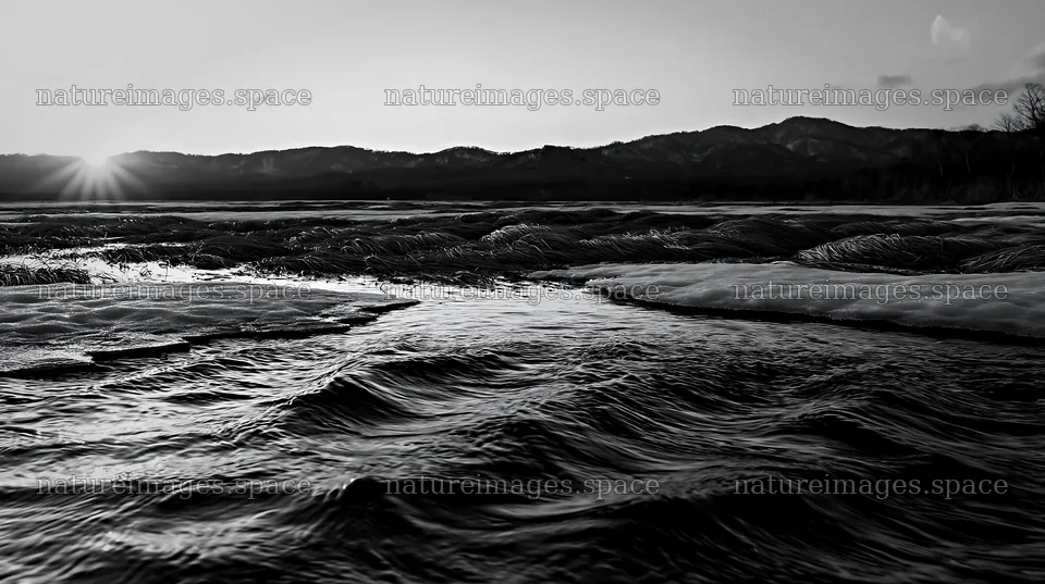 Akita snowmelt meadow with silver grasses in black and white – nature images 10608x5938