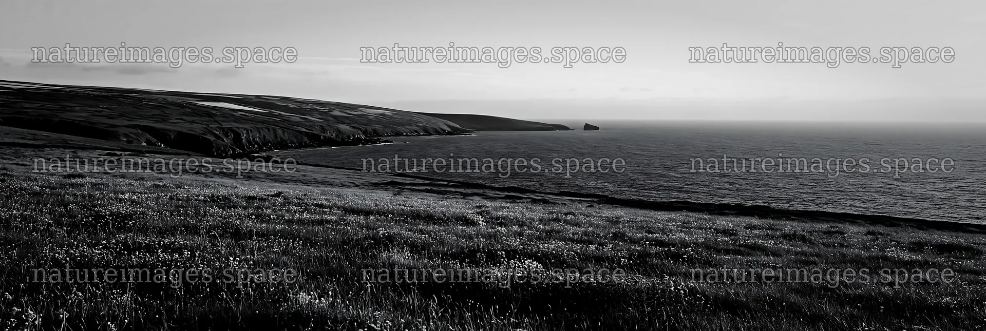 Clifftop meadow overlooking ocean and distant coastline – nature images 13690x4602
