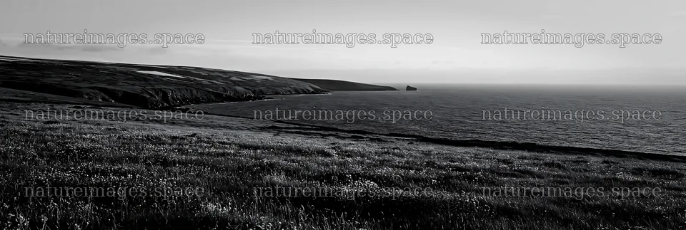 Clifftop meadow overlooking ocean and distant coastline – nature images 13690x4602