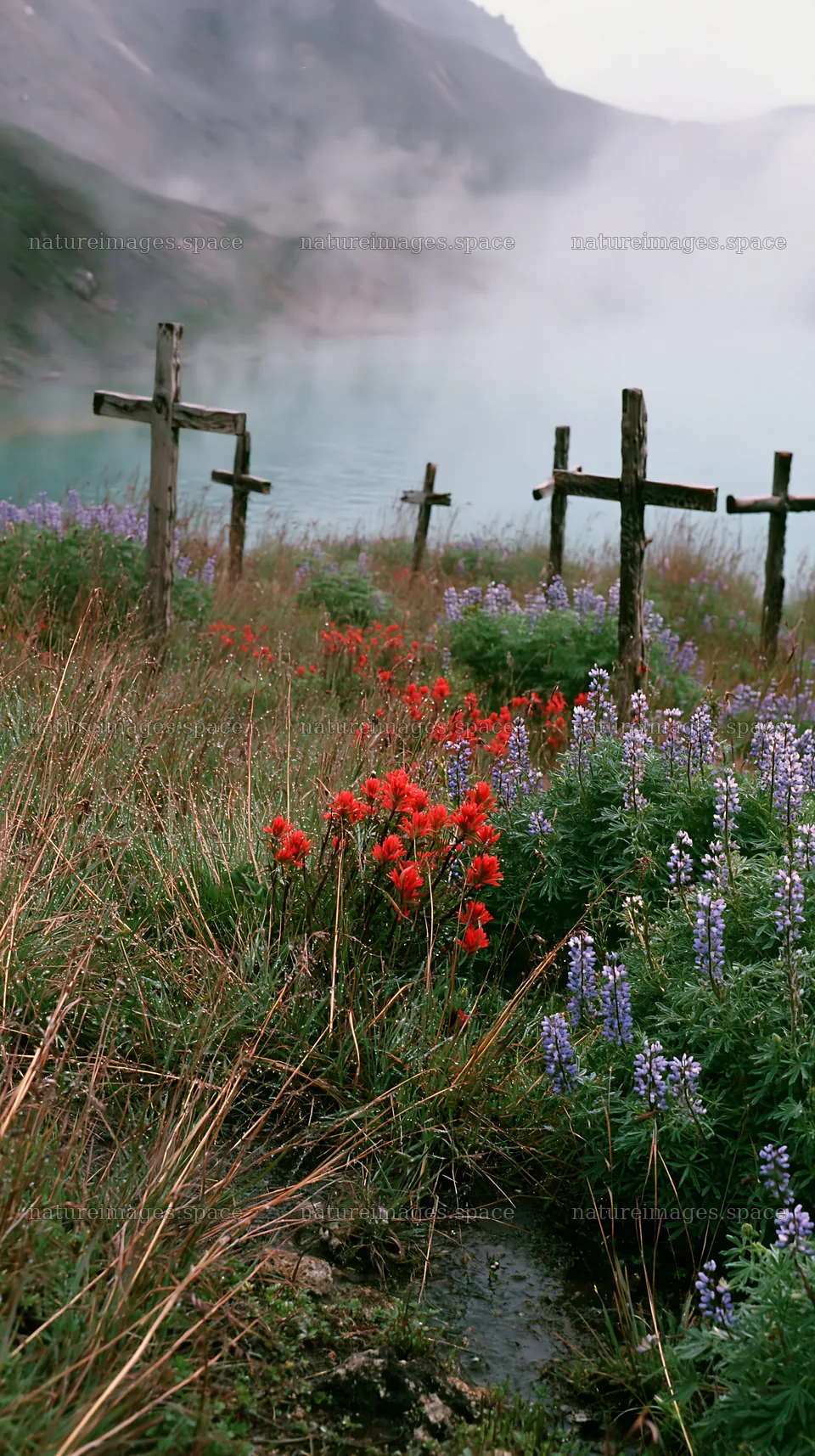 Crosses in meadow near geothermal spring with wildflowers – nature images 5938x10608