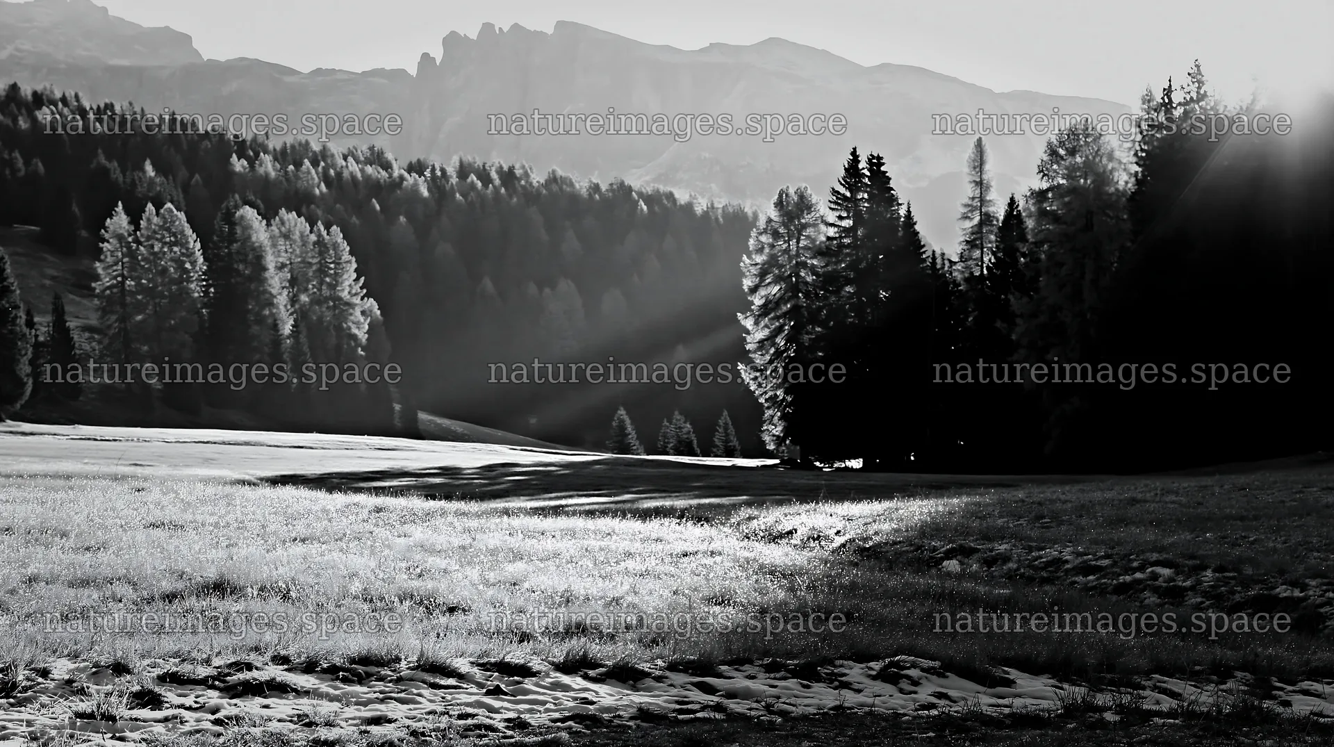 Sunbeams shine on Alpe di Siusi meadow at dawn – nature images 10608x5938