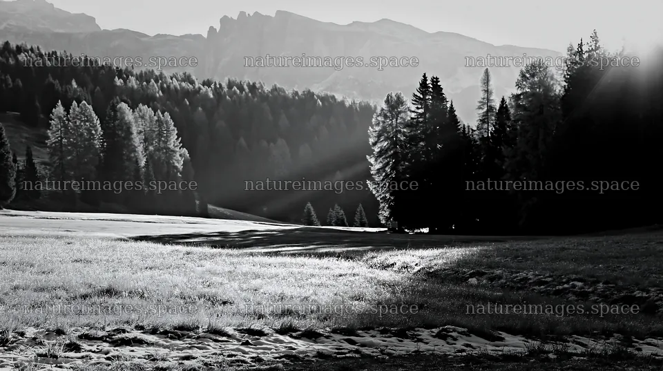 Sunbeams shine on Alpe di Siusi meadow at dawn – nature images 10608x5938