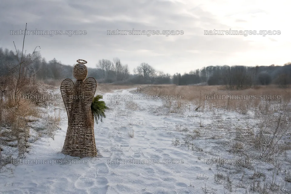 Winter angel stands in snowy meadow landscape – nature images 9722x6480
