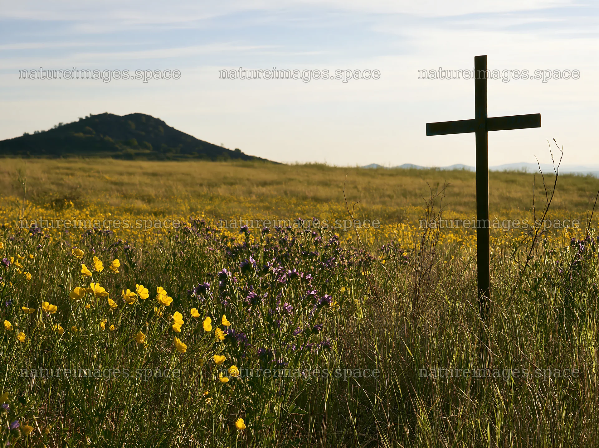 Simple Christian cross in a meadow with flowers – nature images 9174x6866