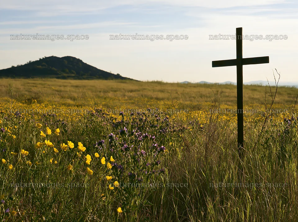 Simple Christian cross in a meadow with flowers – nature images 9174x6866