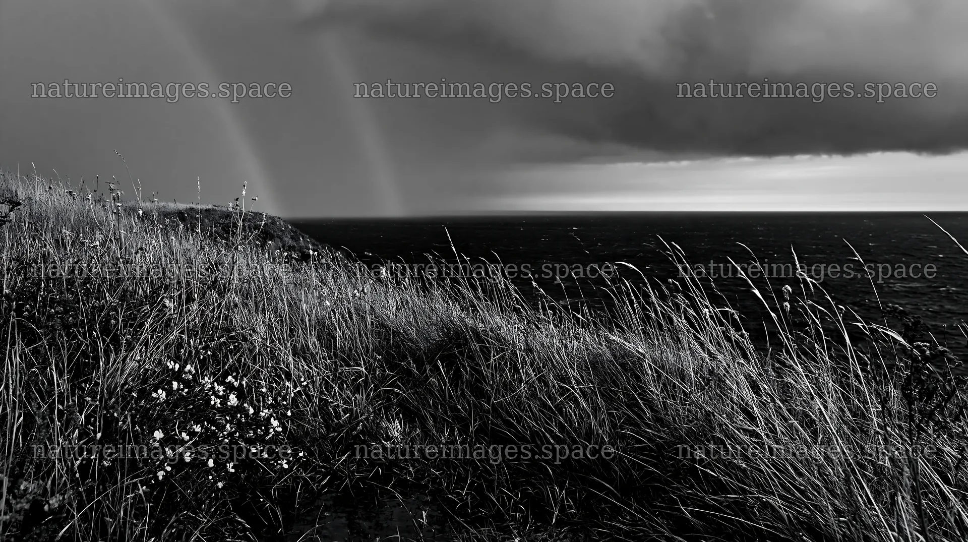 Clifftop meadow with dark clouds and rainbow over the sea – nature images 10608x5938