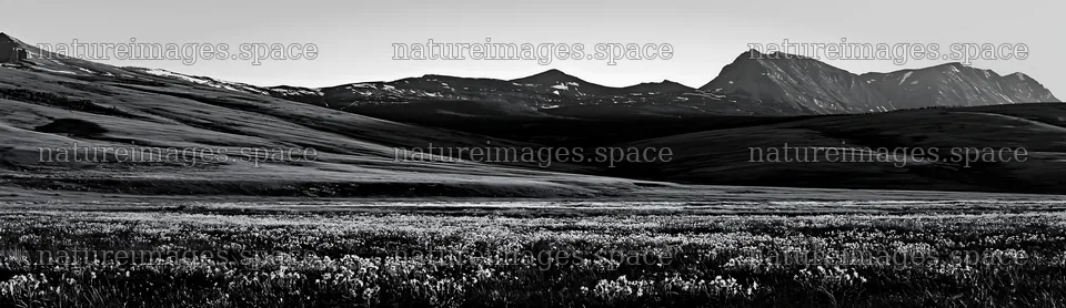 Meadow in rolling valley with mountains in background – nature images 14762x4268