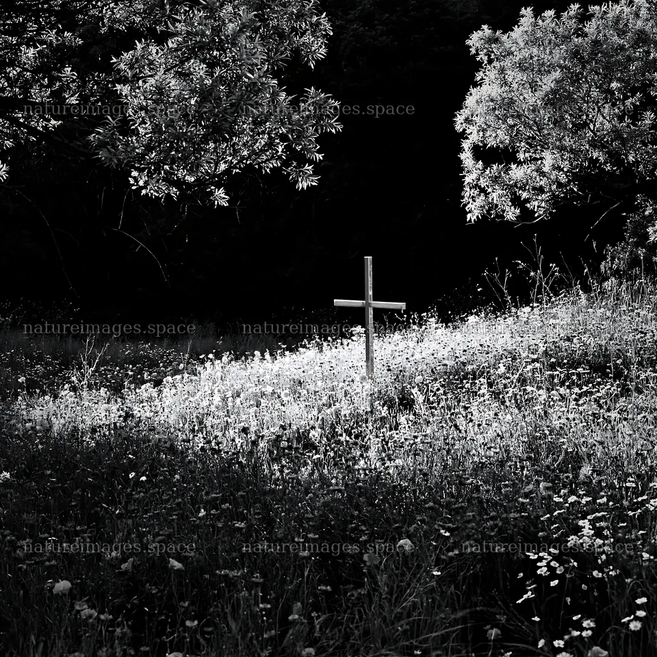 Cross in a meadow among wildflowers – nature images 7938x7938