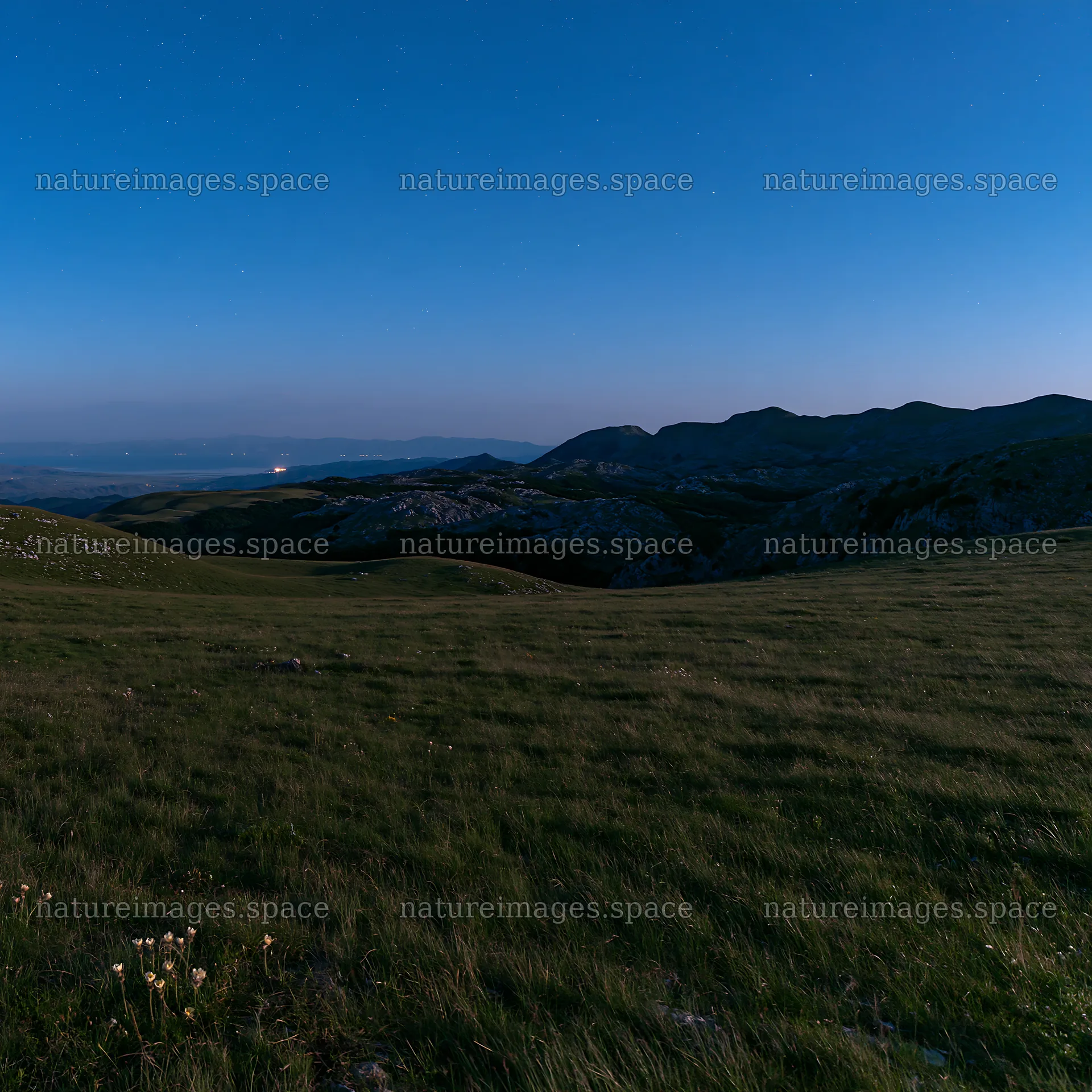 Starlit meadow under a night sky – nature images 7938x7938