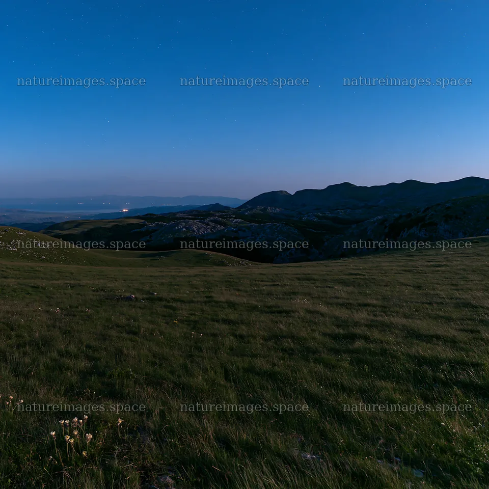 Starlit meadow under a night sky – nature images 7938x7938