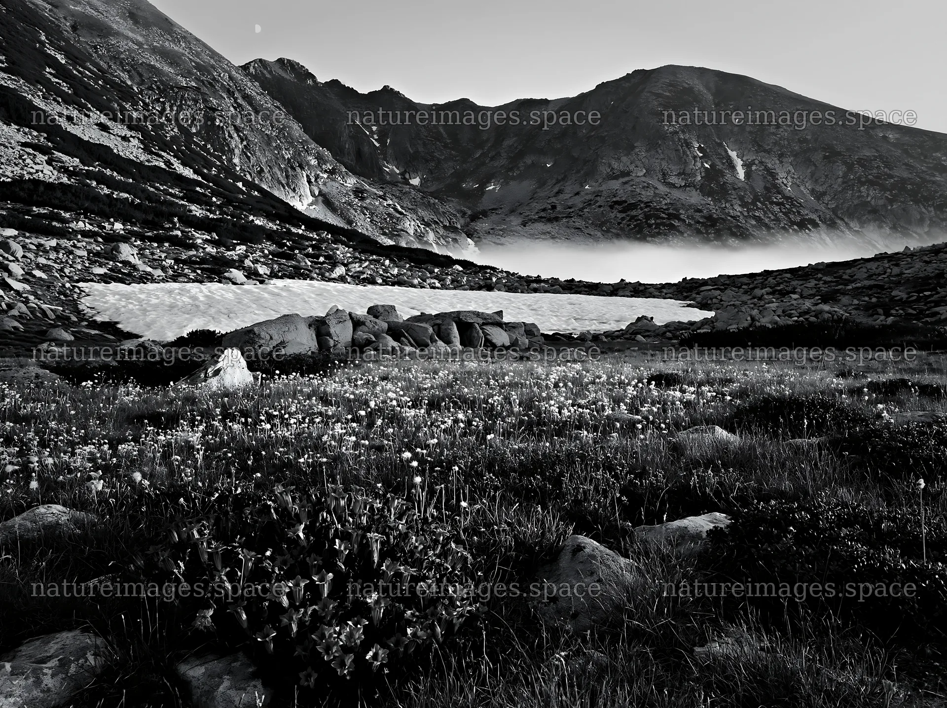 Moonrise over a meadow in the mountains – nature images 9174x6866
