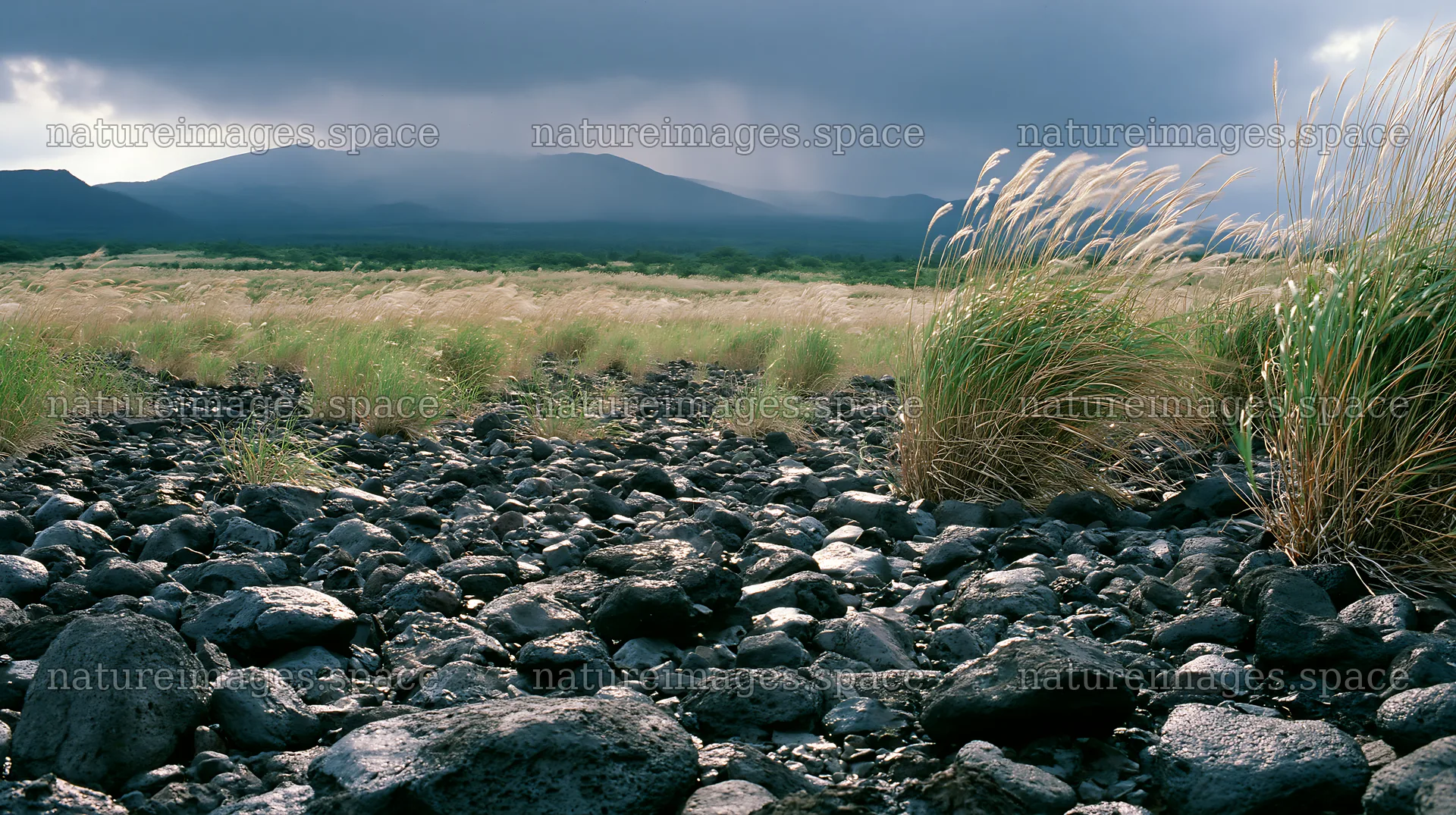 Kagoshima volcanic meadow with pumice and grass foreground – nature images 10608x5938
