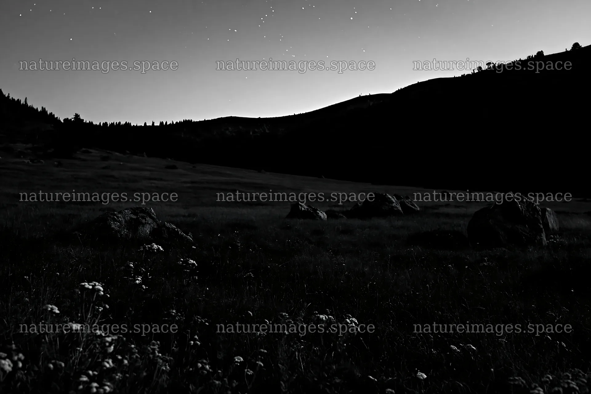 Dark sky over a meadow with rocks in the background – nature images 9722x6480