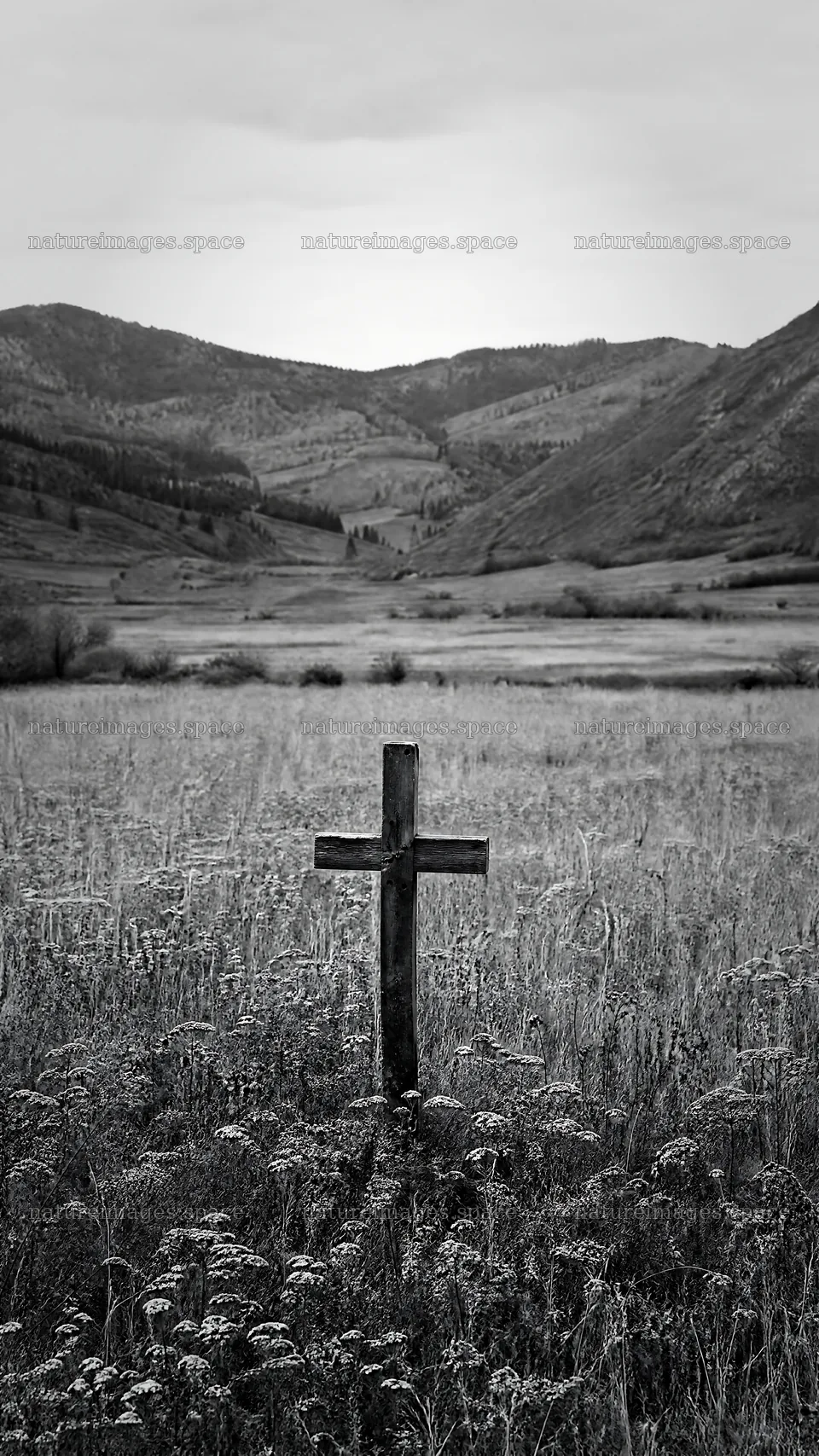 Aged Christian cross in autumn valley meadow – nature images 5952x10584