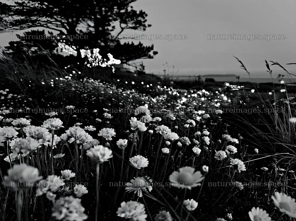 Vibrant meadow with Christmas lights at dusk – nature images 9174x6866
