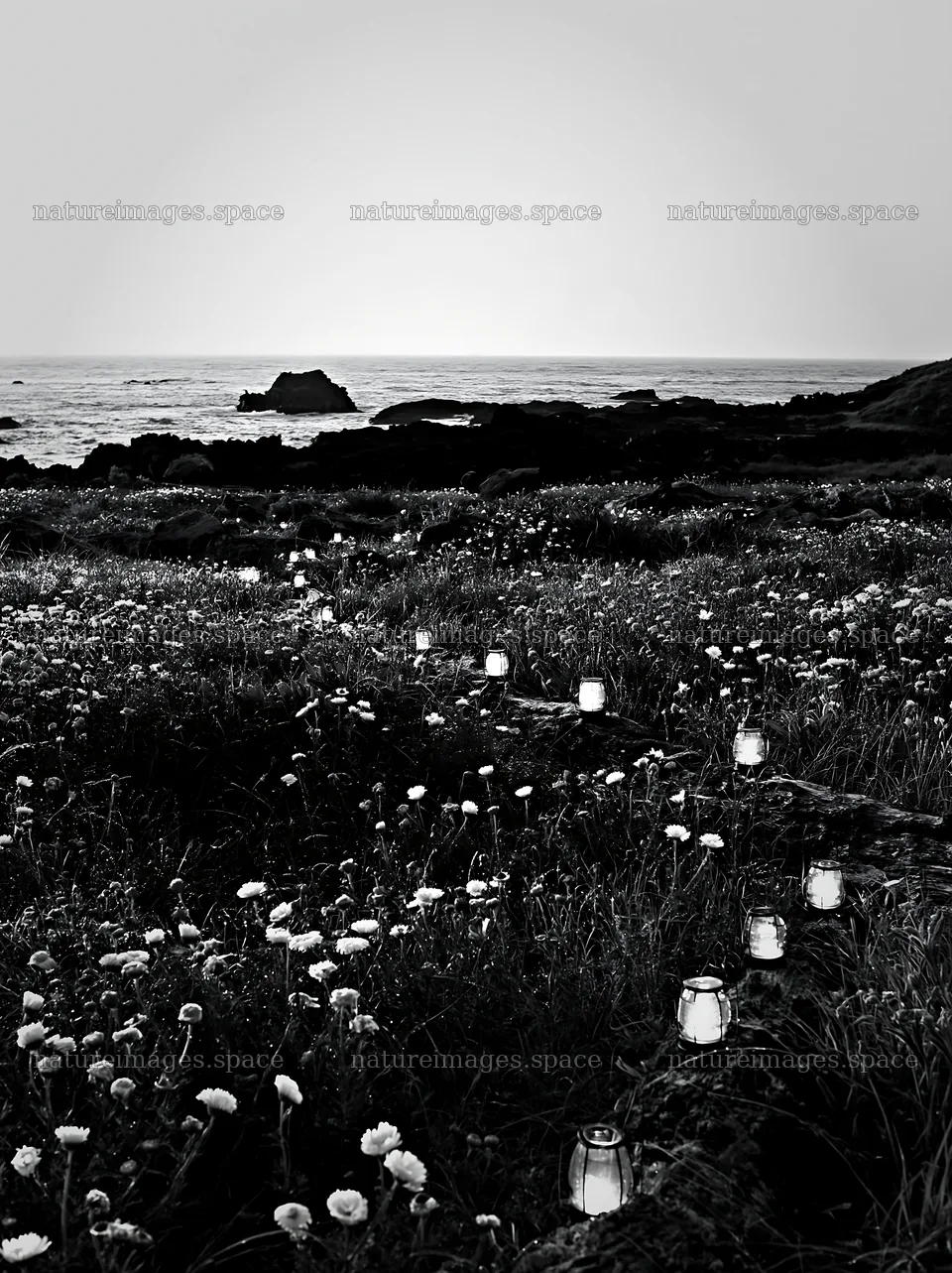 Expansive meadow with lights by the ocean at dusk – nature images 6866x9174