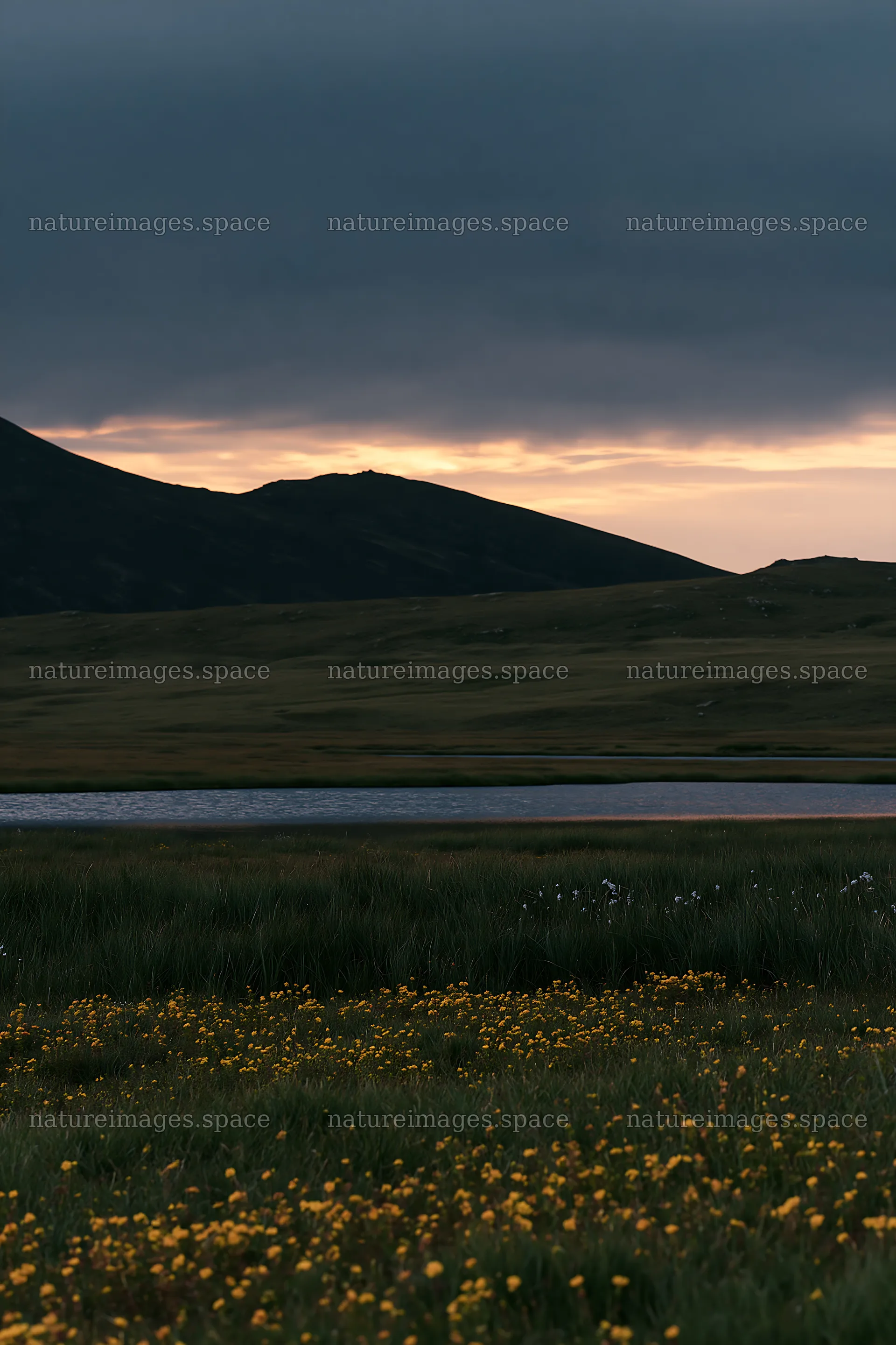 Moonrise over a meadow with mountains in the background – nature images 6480x9722