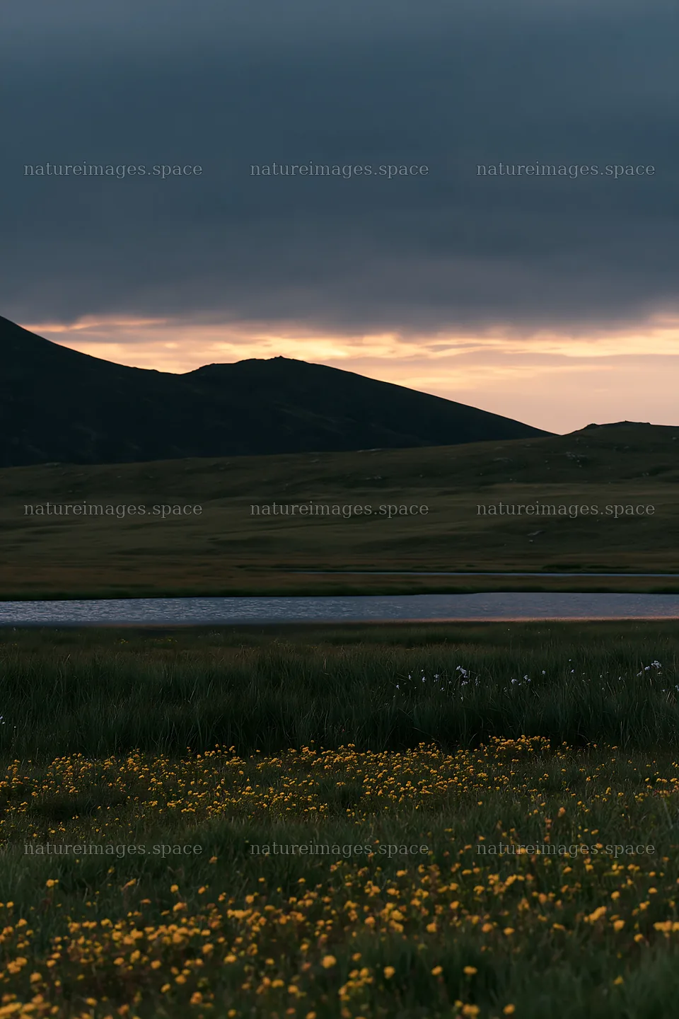 Moonrise over a meadow with mountains in the background – nature images 6480x9722