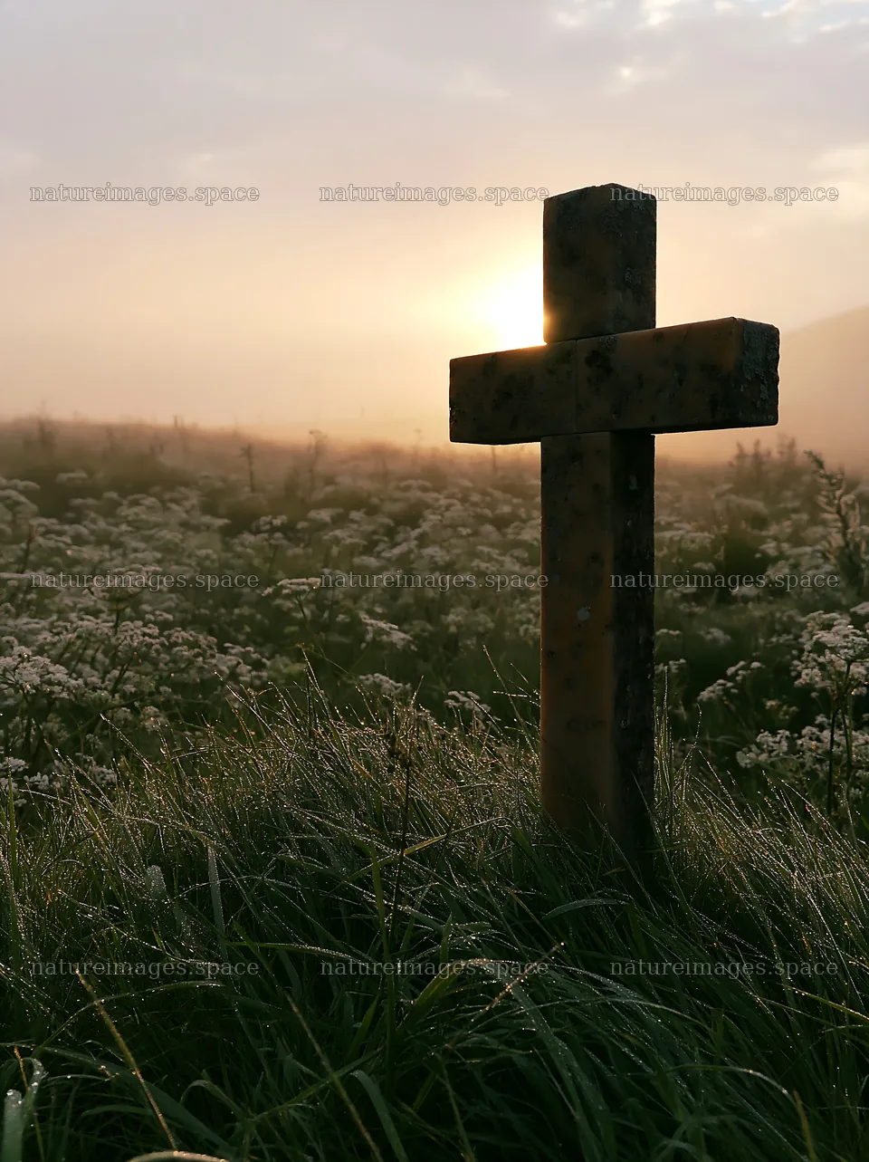Christian cross at sunrise over a meadow with flowers – nature images 6866x9174