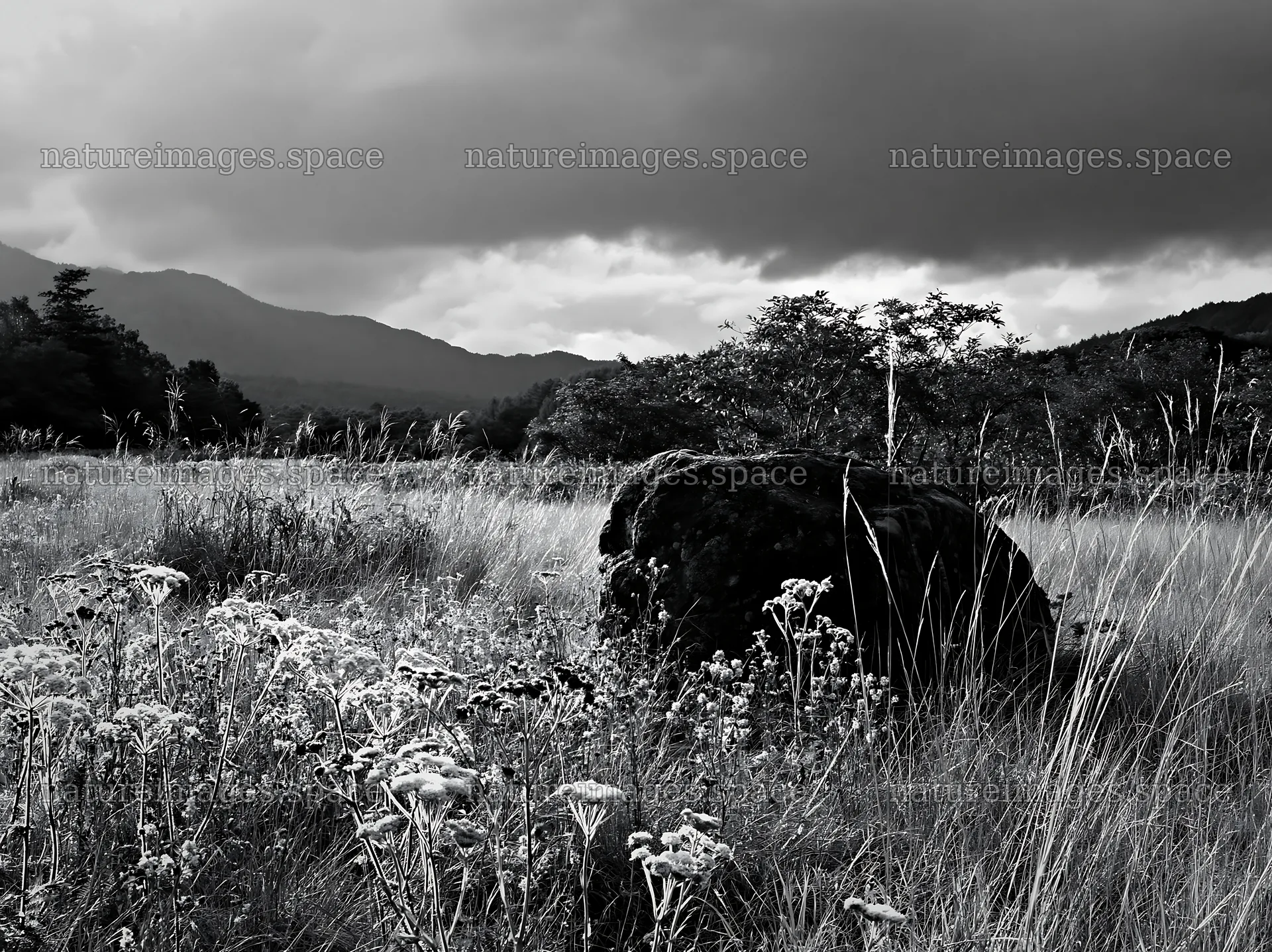 Nagano drought resilient meadow granite boulder under gray clouds – nature images 9174x6866