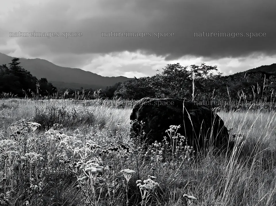 Nagano drought resilient meadow granite boulder under gray clouds – nature images 9174x6866