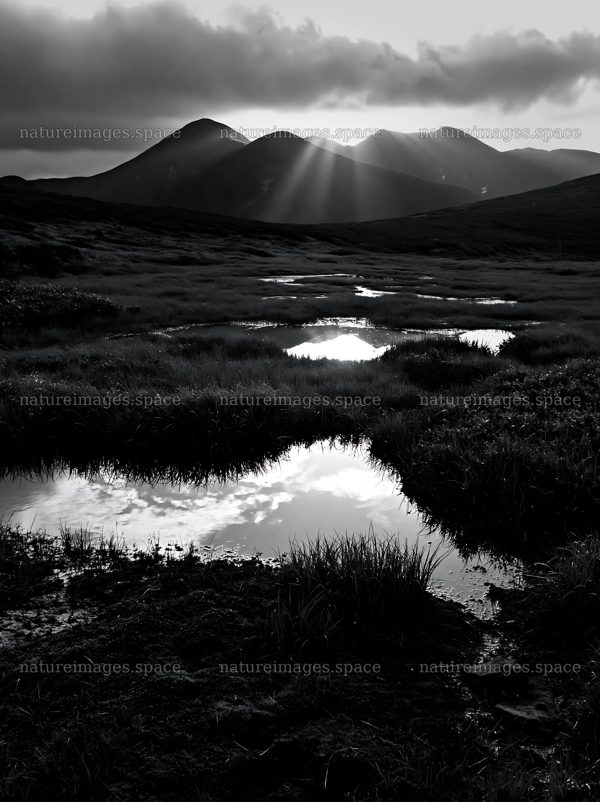 Daisetsuzan alpine meadow with light rays striking mountains – nature images 6866x9174