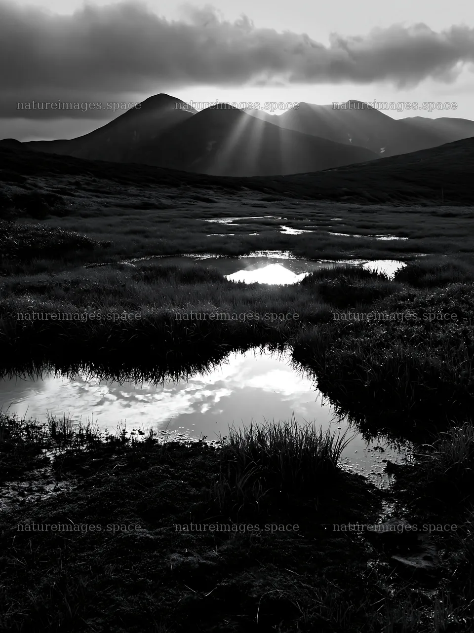 Daisetsuzan alpine meadow with light rays striking mountains – nature images 6866x9174