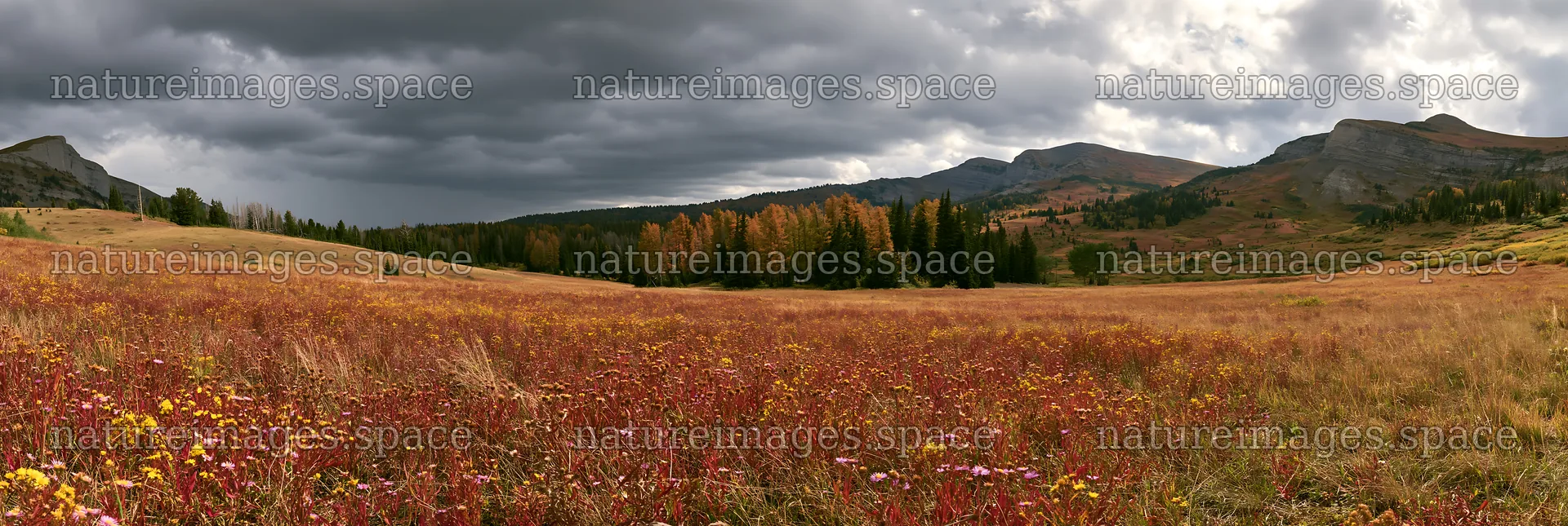 Autumn meadow with mountains and overcast sky – nature images 13690x4602