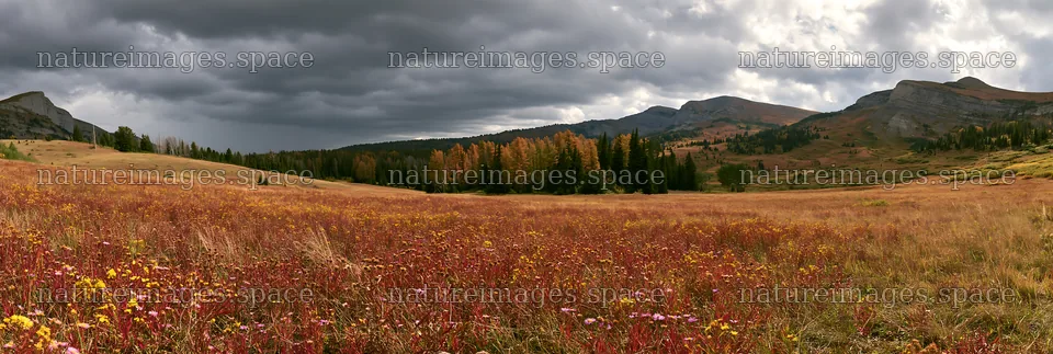 Autumn meadow with mountains and overcast sky – nature images 13690x4602