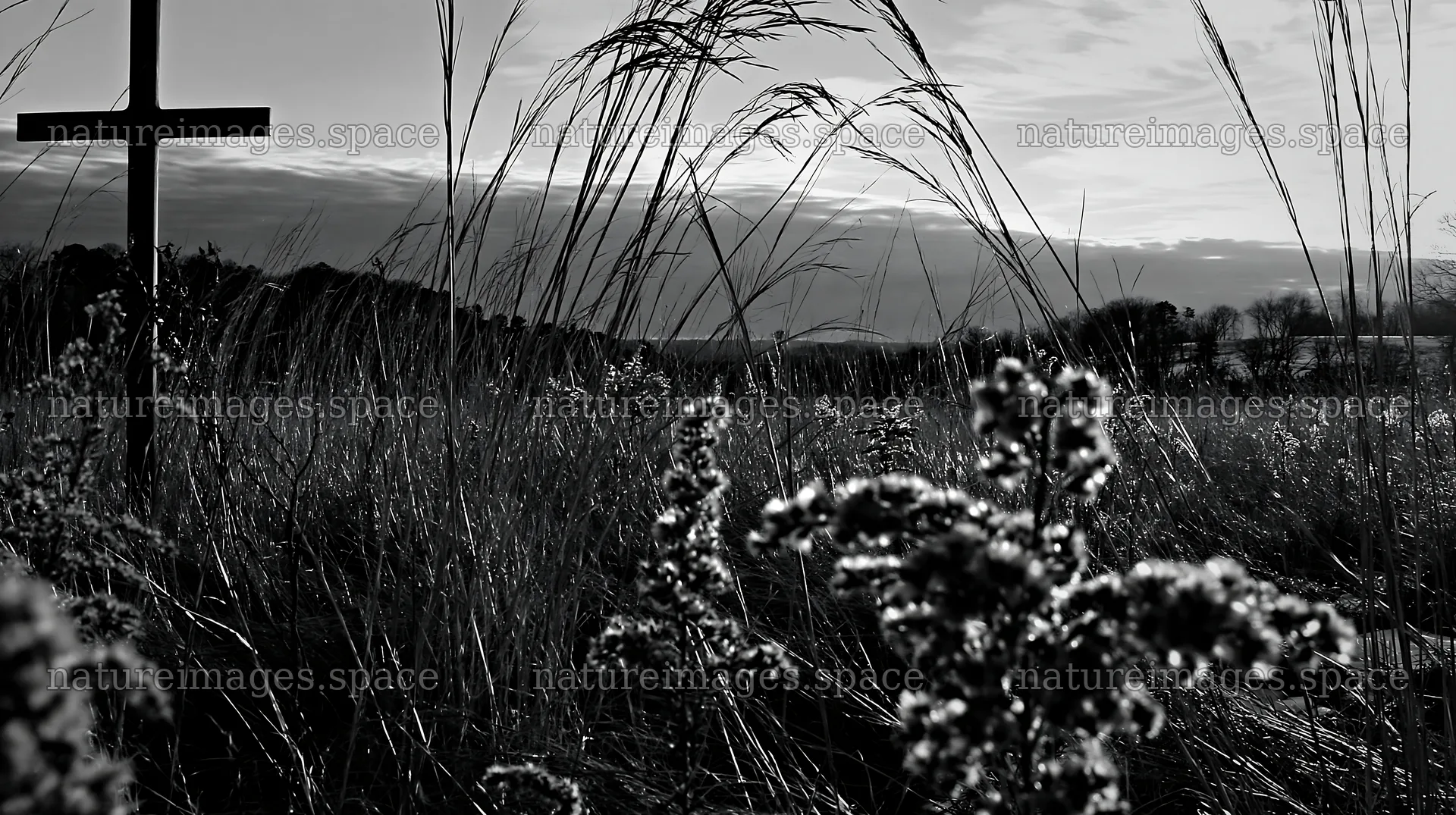 Bronze Christian cross in a meadow during winter – nature images 10608x5938