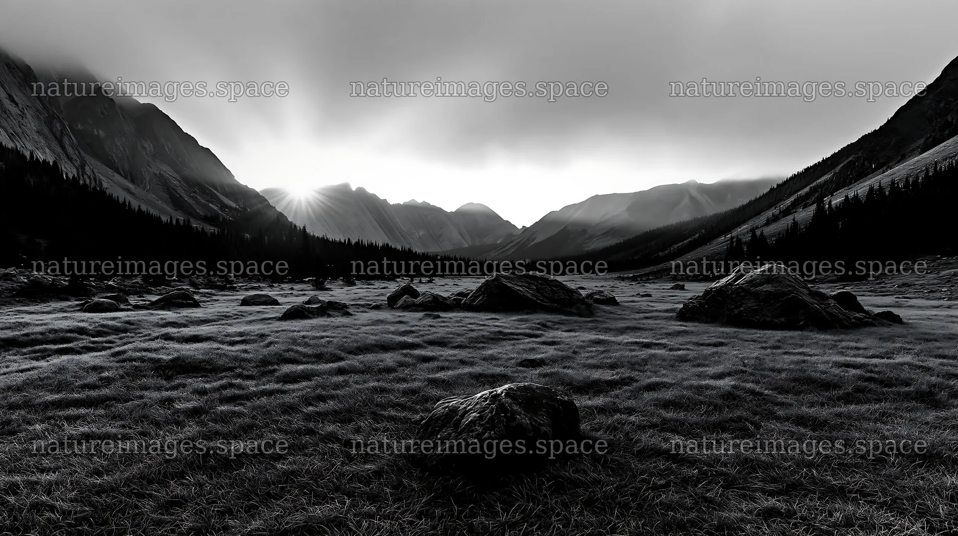 Sunshine meadows banff light rays breaking through clouds – nature images 10608x5938