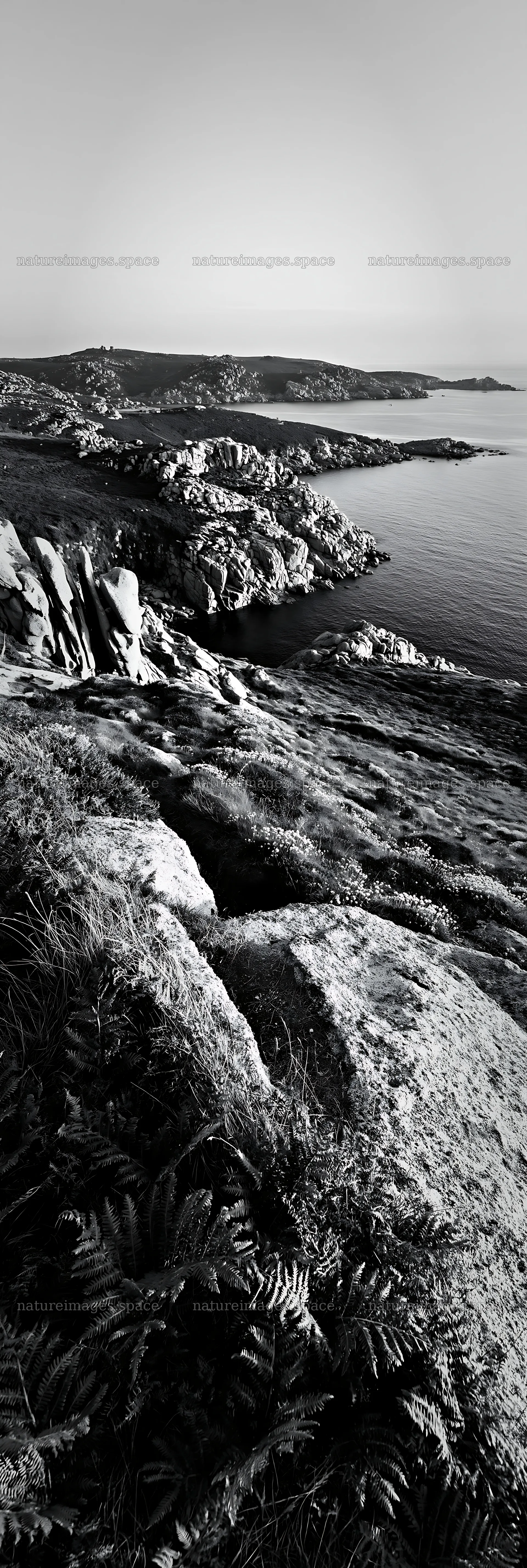Clifftop meadow with rocky terrain overlooking the ocean – nature images 4602x13690