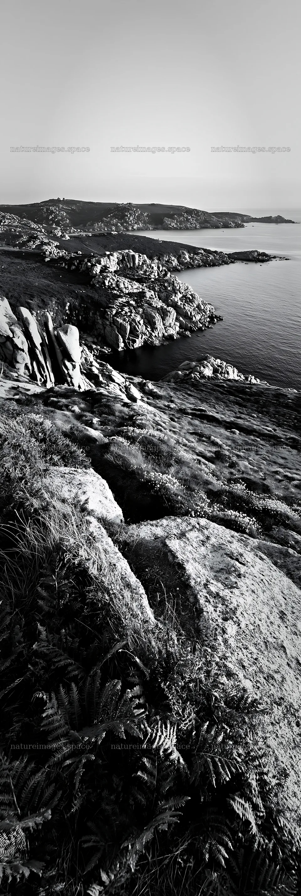 Clifftop meadow with rocky terrain overlooking the ocean – nature images 4602x13690