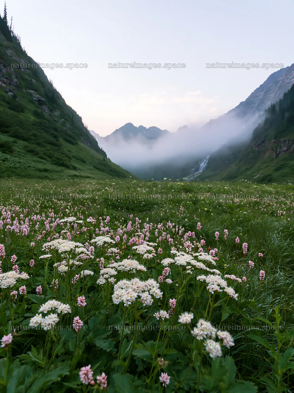 Misty waterfall in flower meadow at mountain valley – nature images 6866x9174