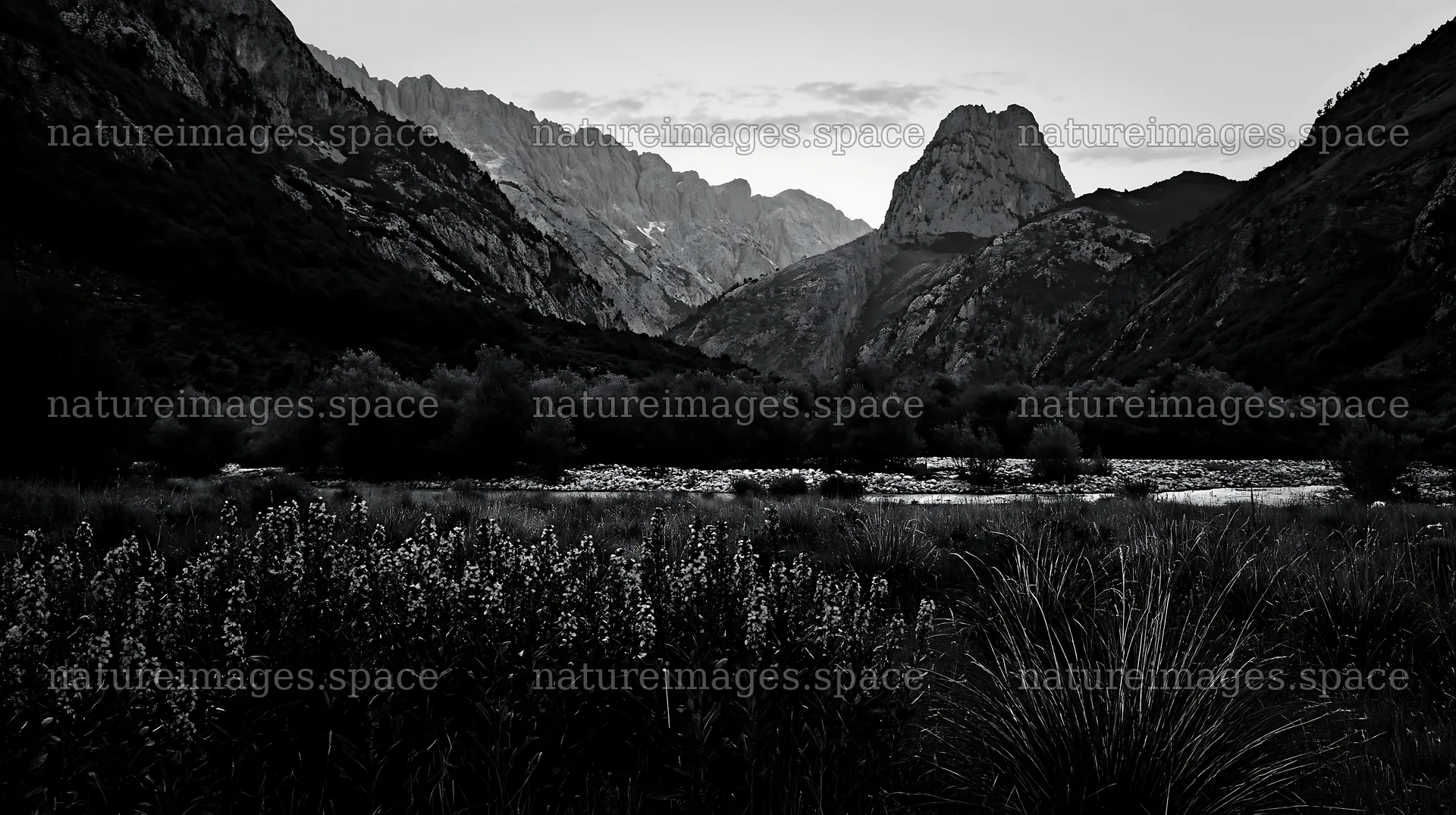 Night-blooming meadow in the mountains at dusk – nature images 10608x5938