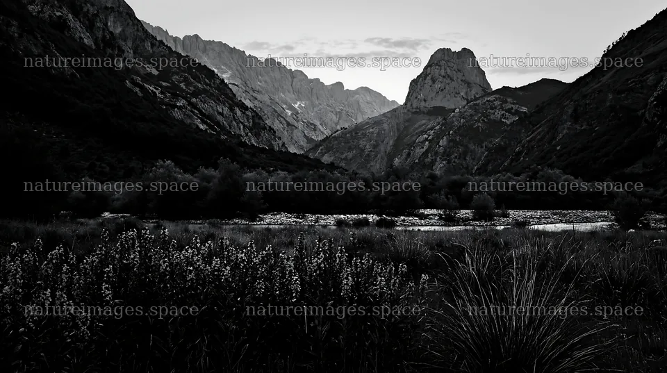Night-blooming meadow in the mountains at dusk – nature images 10608x5938