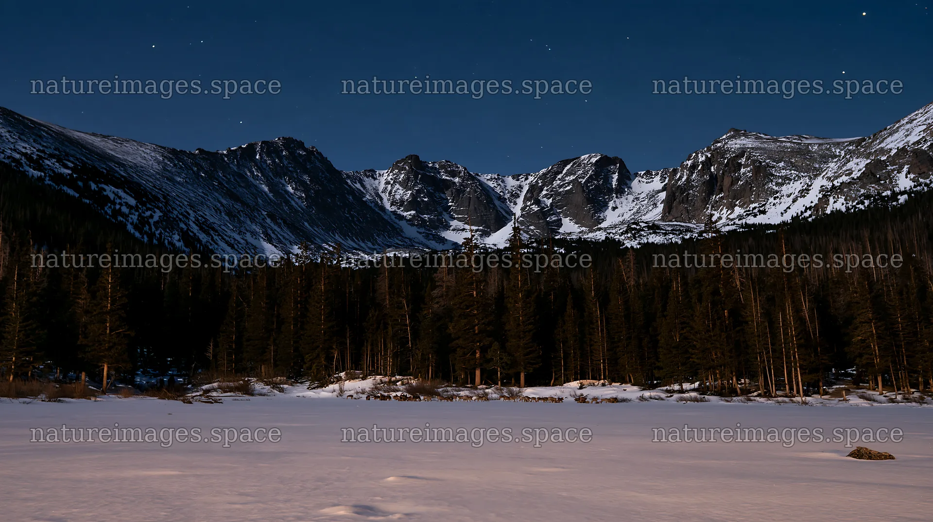 Snowy Rocky Mountain Park meadow with mountains in the background – nature images 10608x5938