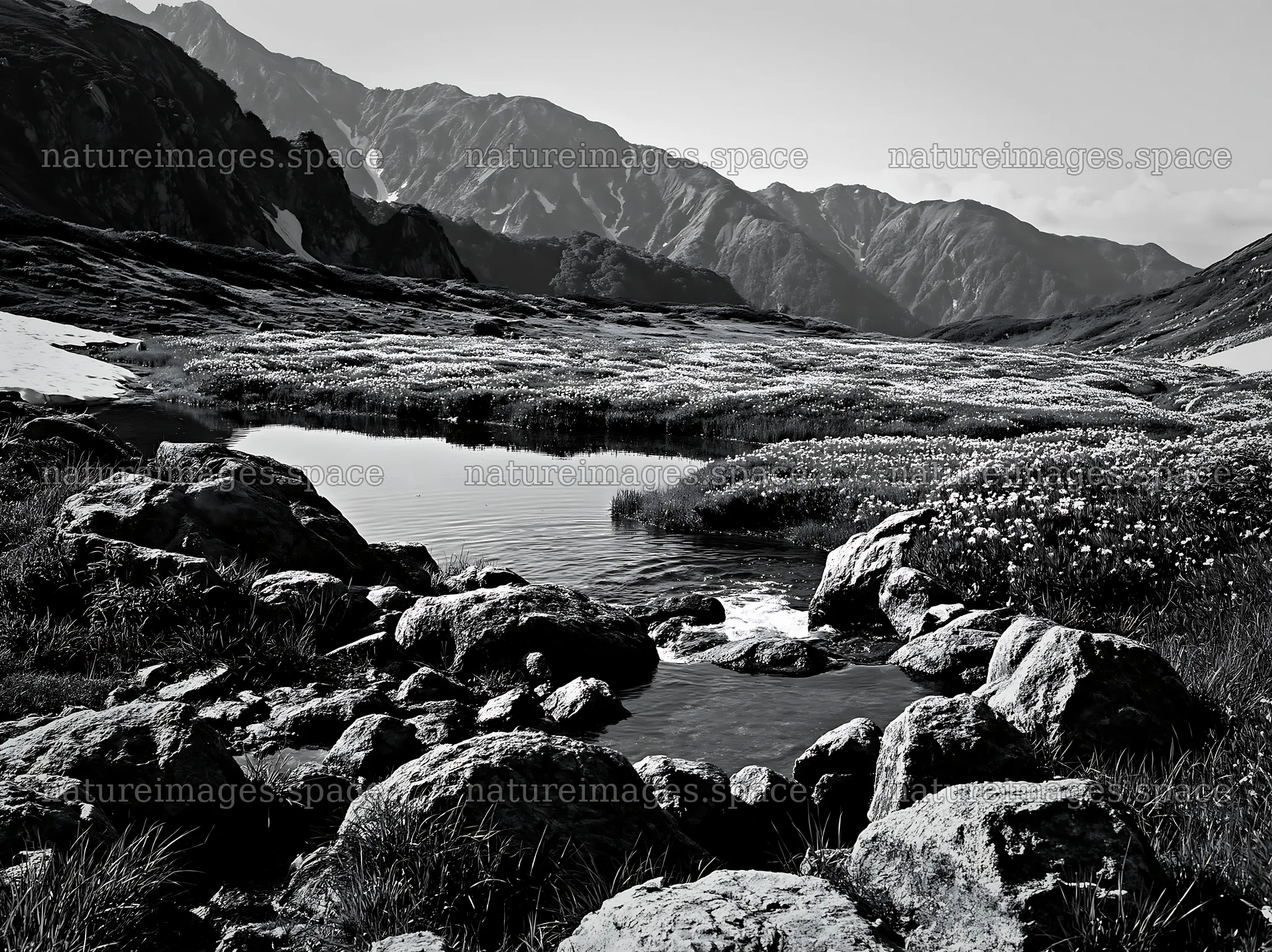 Toyama alpine meadow with snowmelt and rocky foreground – nature images 9174x6866