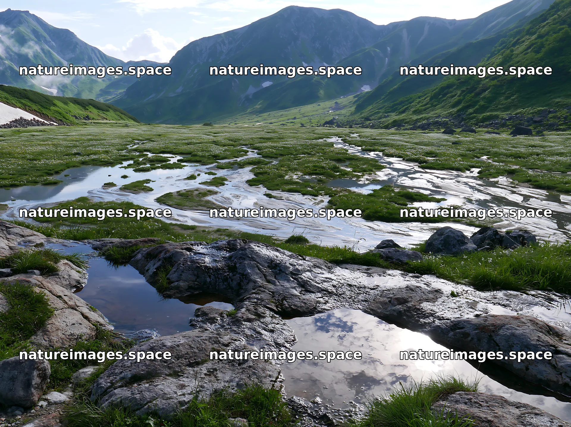 Toyama alpine meadow snowmelt rock foreground – nature images 9174x6866