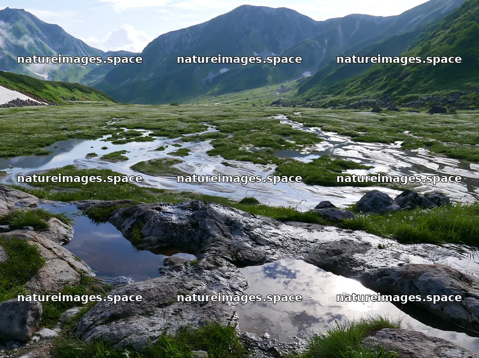 Toyama alpine meadow snowmelt rock foreground – nature images 9174x6866