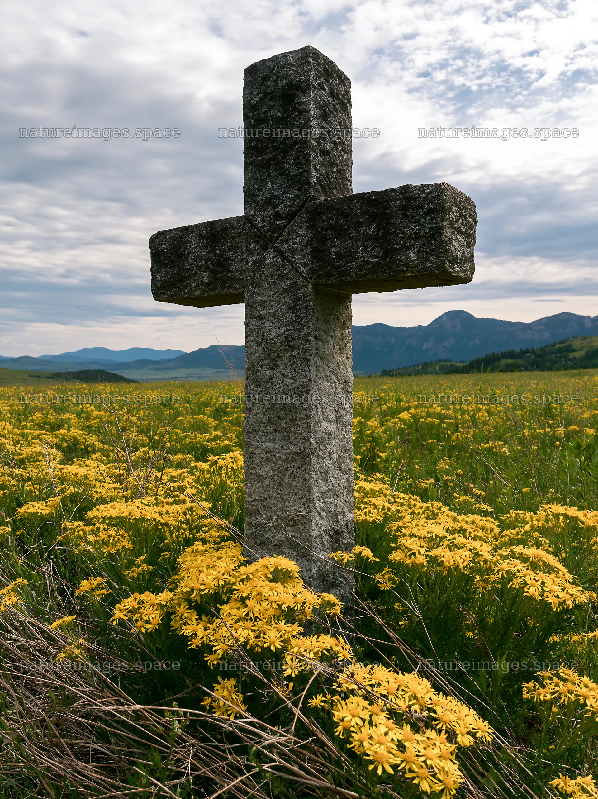 Christian cross in yellow wildflower meadow with mountains – nature images 6866x9174