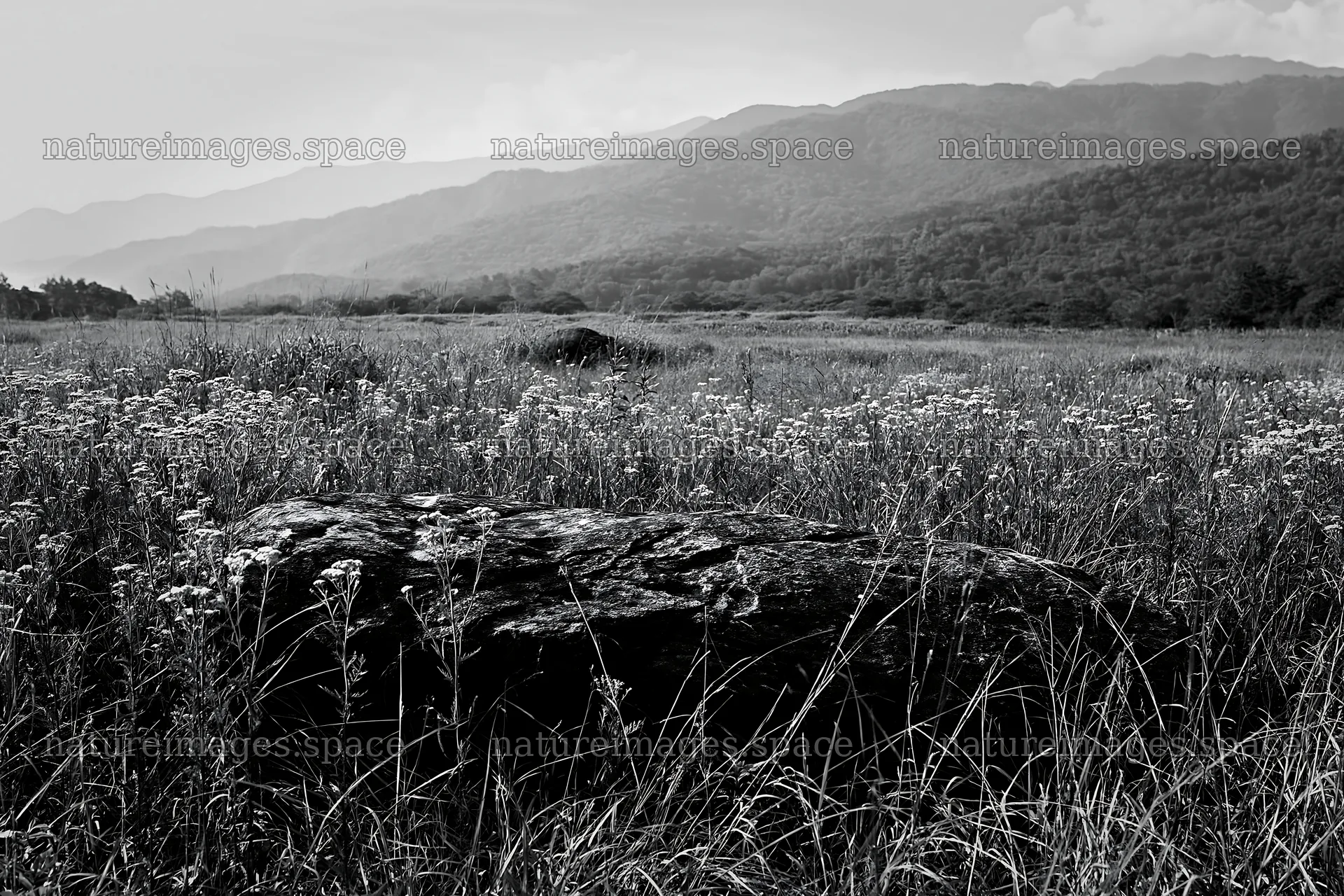 Nagano granite boulder in drought resistant meadow with mountains – nature images 9722x6480