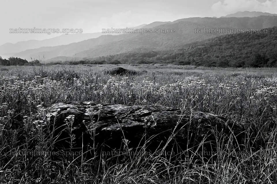 Nagano granite boulder in drought resistant meadow with mountains – nature images 9722x6480