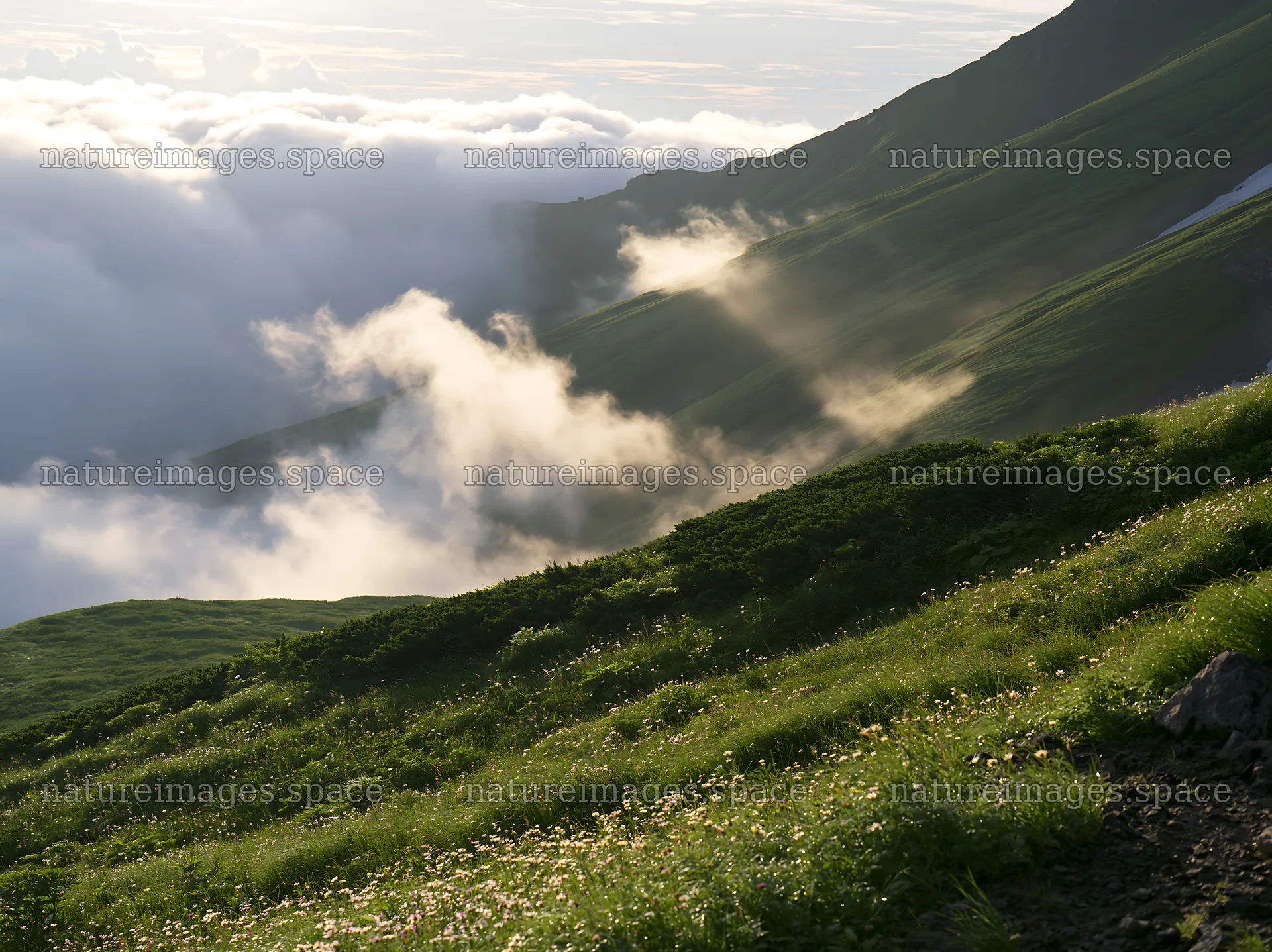 Light rays shining through clouds in Daisetsuzan alpine meadow – nature images 9174x6866