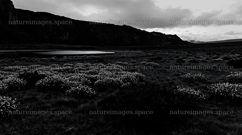 Regenerative meadow with water body and mountains in background – nature images 10608x5938