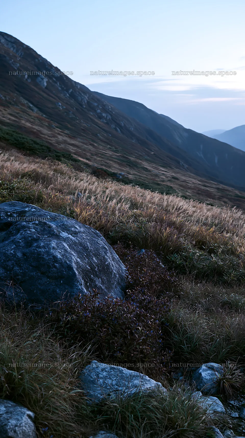 Nagano drought resilient meadow granite boulder stands in landscape – nature images 5938x10608